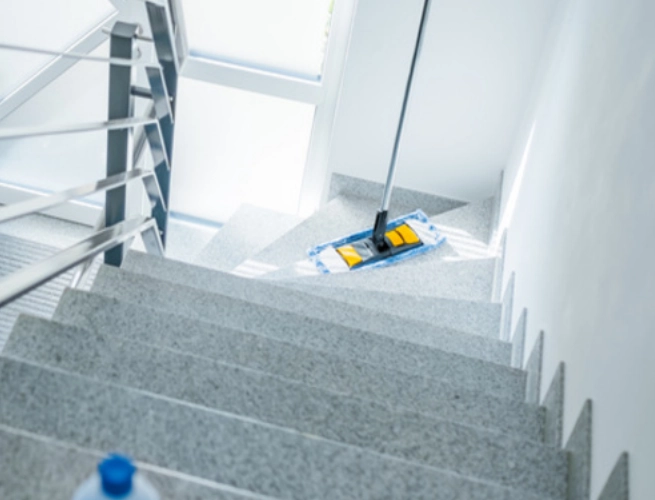 Schoonmaak van gemeenschappelijke ruimtes van gebouwen in Anvers 2000